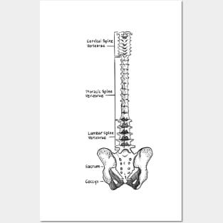 Spine Posters and Art